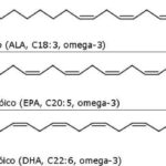 ¿Qué son los ácidos grasos omega-3?