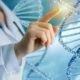 Estudio del organismo a nivel molecular