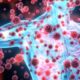 ¿Qué condiciones producen respuesta inflamatoria exagerada?