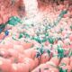 Defensas del sistema gastrointestinal
