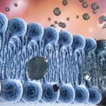 Interacción de los fármacos con la membrana plasmática