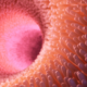 Absorción de fármacos en estómago vs intestino