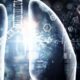 ¿Qué es la eliminación de primer paso pulmonar?