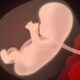Transferencia de fármacos por la placenta