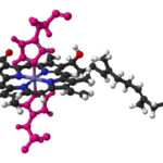 Biotransformación de fármacos