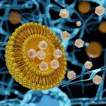 Excreción biliar de fármacos