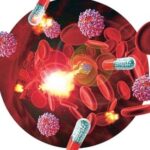 ¿Qué es la farmacocinética?