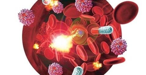 Profarmaco ¿Qué es un profármaco? - Farmacología - Homo medicus