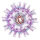 Características del virus Herpes simple tipo 1