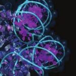 ¿Qué son los factores reguladores de la cromatina?