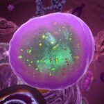 Catabolismo de moléculas en la célula