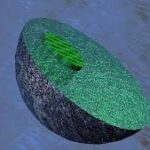 ¿Qué son los peroxisomas?