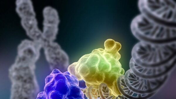 Variación en la regulación de los genes