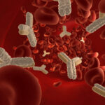 ¿Qué es un autoanticuerpo?