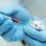 Estudio preclínico en el desarrollo de fármacos