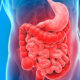 ¿Qué es el tubo digestivo?