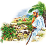 Descubrimeinto de la cafeína como estimulante