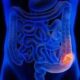 ¿Como es el movimiento del colon?