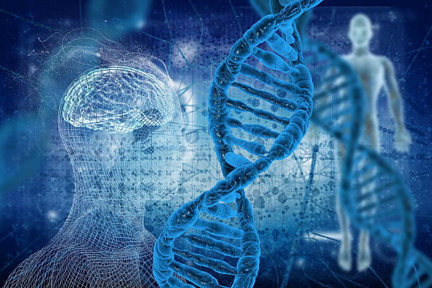¿Qué son las variantes genómicas en seres humanos?