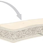 ¿Cómo es la estructura interna de los huesos?