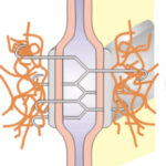 ¿Qué son las uniones de anclaje?