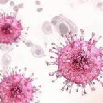 Infección por citomegalovirus