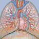 ¿Por que el lecho capilar pulmonar es un sistema de baja presión?