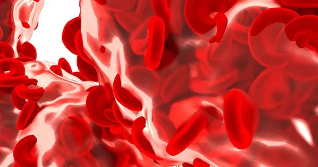 ¿Cómo se afecta la hemoglobina en las talasemias?