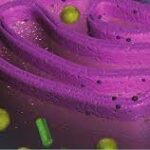 Síntesis de proteínas en los ribosomas del retículoendoplásmico