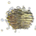 Modificación de proteínas y lípidos en el aparato de Golgi