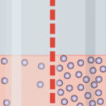 ¿Qué es el efecto Donnan?