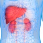 Características del síndrome hepatorrenal