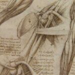 ¿Por que no se usan los epónimos en anatomía?