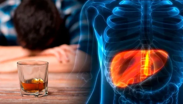 Efectos del alcohol en el organismo