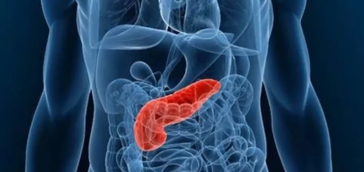 Características del cuello del páncreas