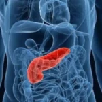 Características del cuello del páncreas