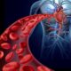 Energia del corazón para acelerar la sangre