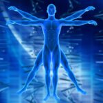 La maravilla del cuerpo humano