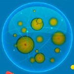 Tipos de resistencia bacteriana