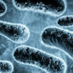 Las bacterias, organismos maravillosos y terribles