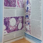 5 libros de histología muy útiles