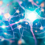 Sensibilización de los nociceptores