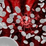 Cifra normal de leucocitos