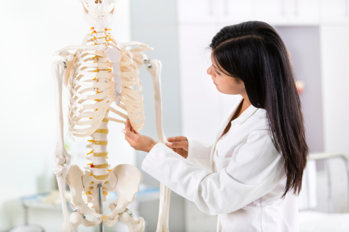¿Por qué es importante saber anatomía humana?