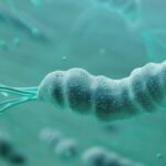 H. pylori como factor de riesgo para adenocarcinoma