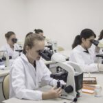 Limitación de la tinción con eosina & hematoxilina