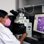 ¿Qué componentes perduran después de una fijación de tejido?