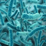 Cantidad de microorganismos en nuestro planeta.