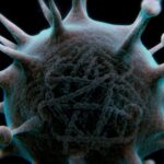 Los virus son entidades biológicas peculiares