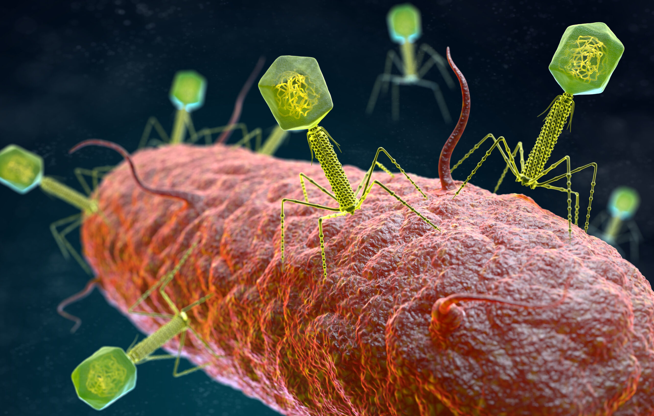 Un virus puede infectar cualquier célula